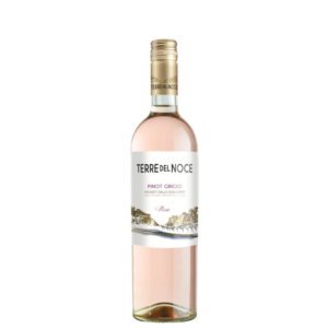 Terre del Noce — Pinto Grigio - 2025